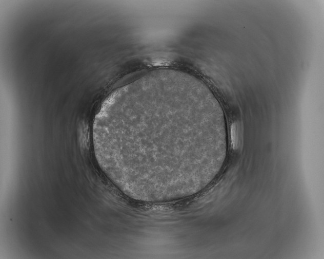 X0000111651443200908281040