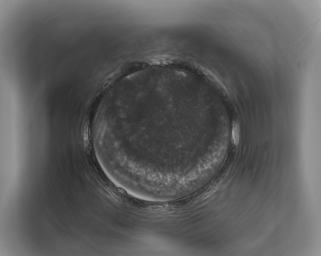 X0000111651444200908281040