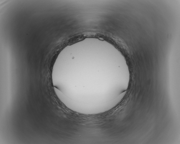 X0000111651445200908281040