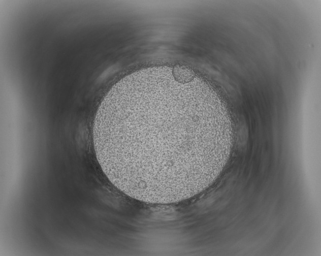 X0000111651446200908281040