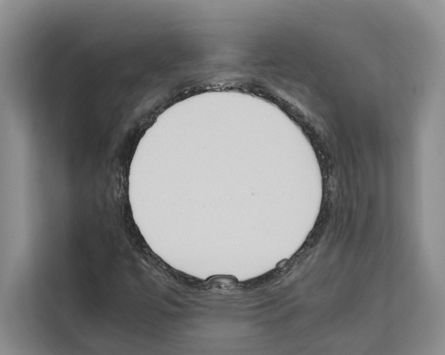 X0000111651447200908281040