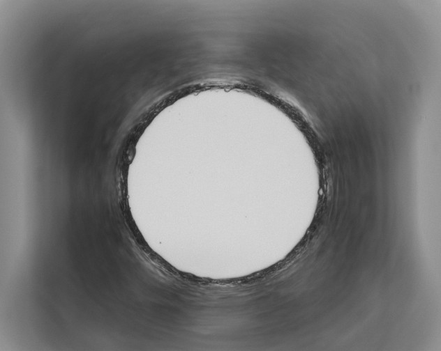 X0000111651448200908281040