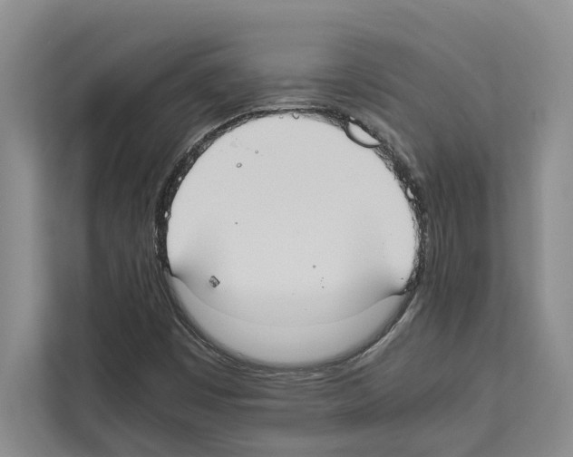 X0000111651449200908281040