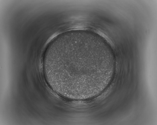 X0000111651450200908281040