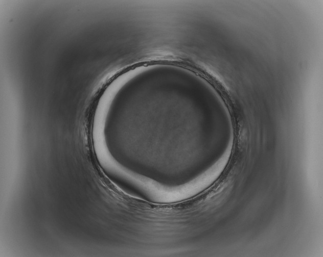 X0000111651455200908281039