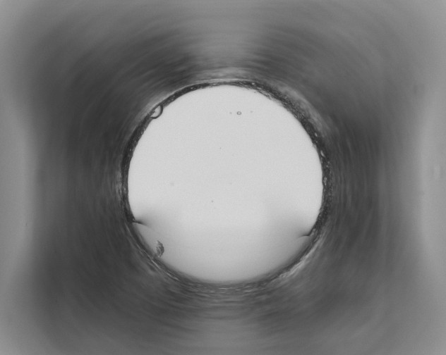 X0000111651457200908281039