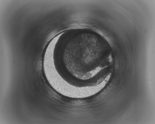 X0000111651459200908281039