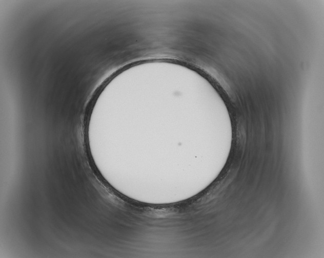 X0000111651460200908281039