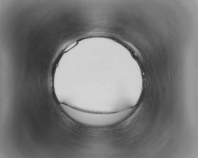 X0000111651461200908281039