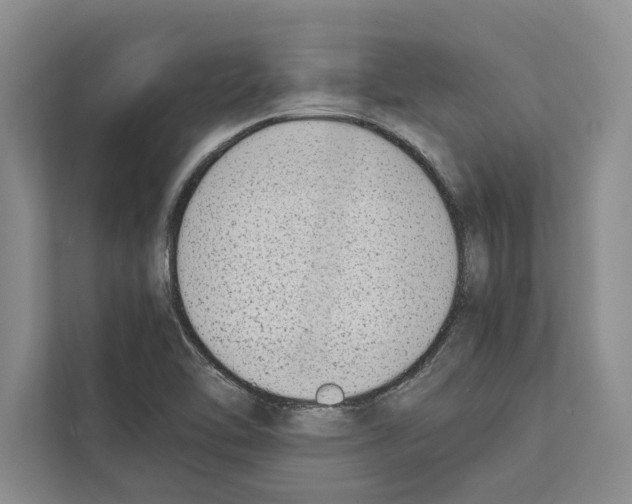 X0000111651462200908281039