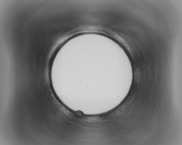 X0000111651464200908281039