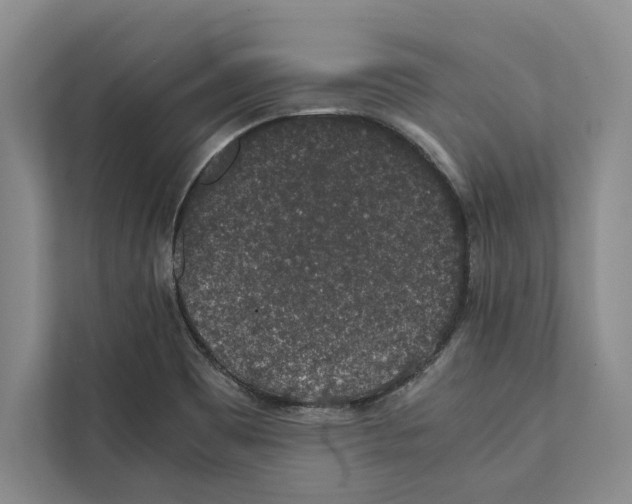 X0000111651465200908281039