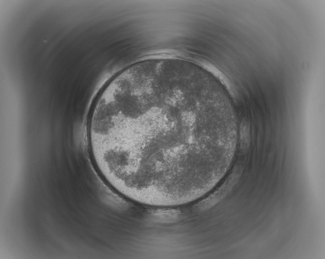 X0000111651466200908281039