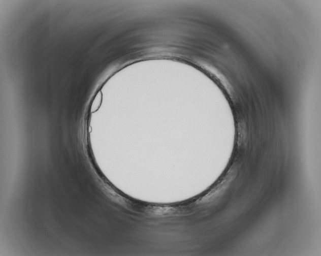 X0000111651467200908281039