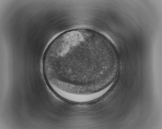 X0000111651468200908281039