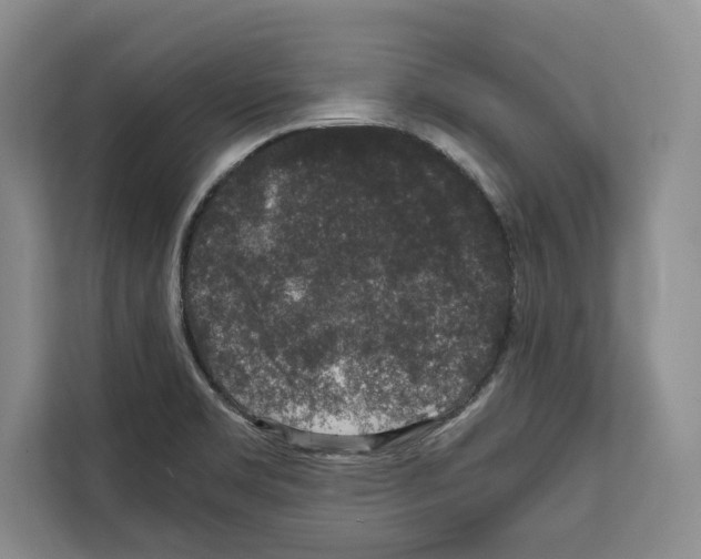 X0000111651469200908281039