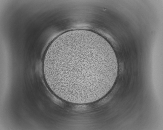 X0000111651470200908281039