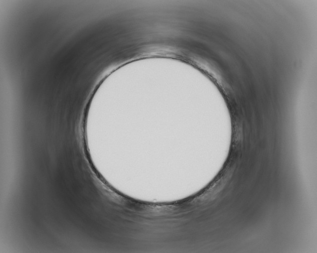 X0000111651471200908281039