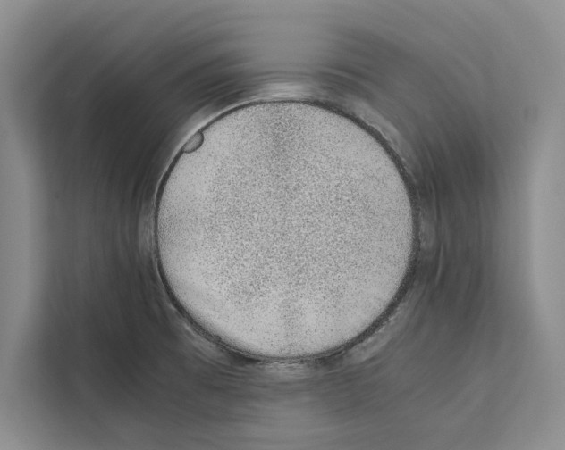 X0000111651473200908281039