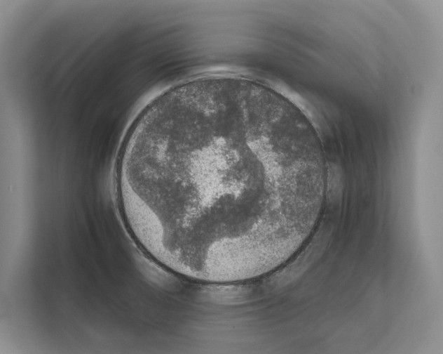 X0000111651474200908281039