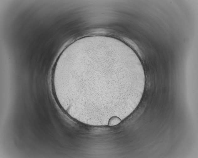 X0000111651475200908281039