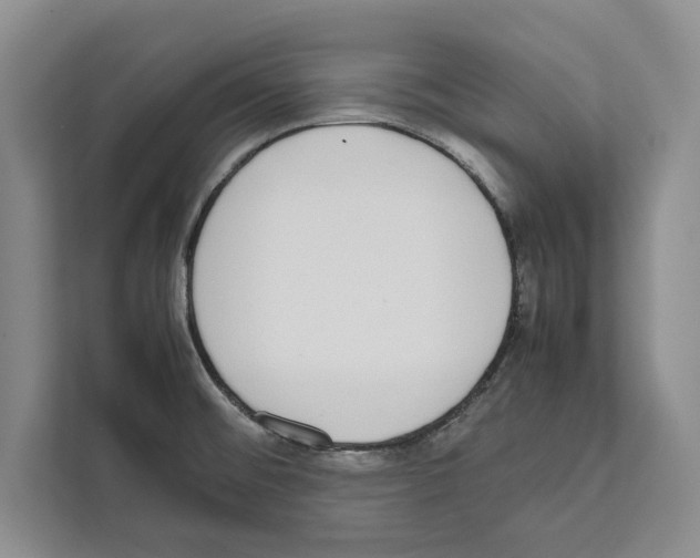 X0000111651476200908281039