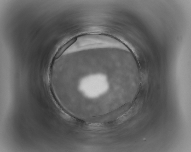 X0000111651477200908281039