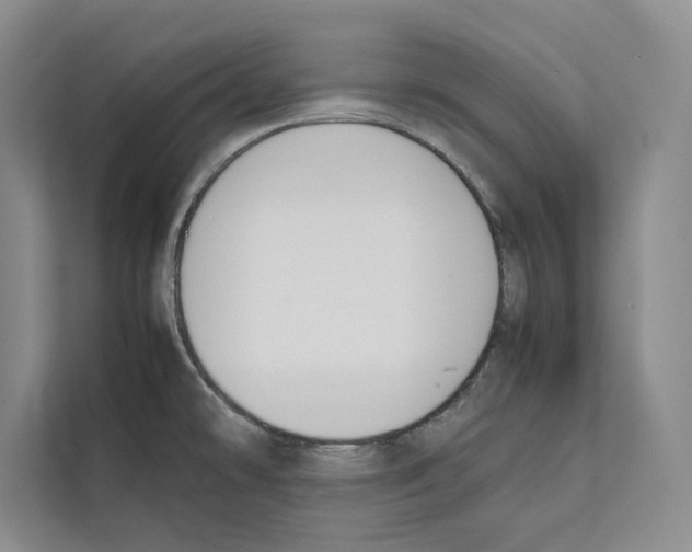 X0000111651478200908281039