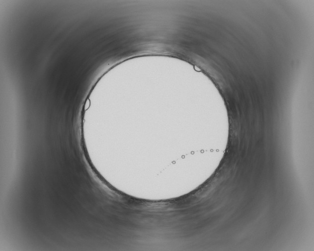 X0000111651479200908281039