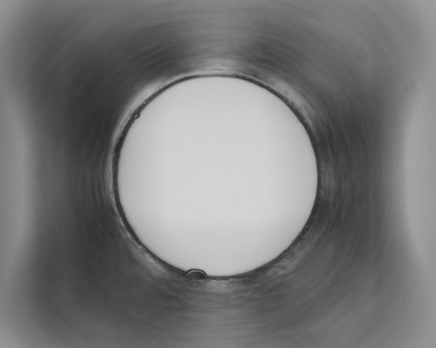 X0000111651480200908281039