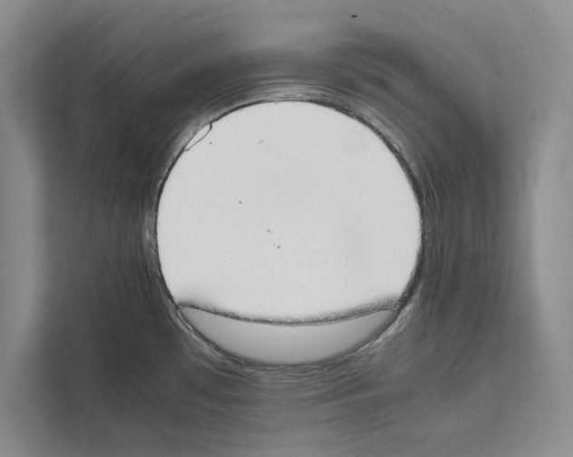 X0000111651481200908281039