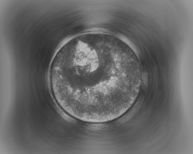 X0000111651482200908281039