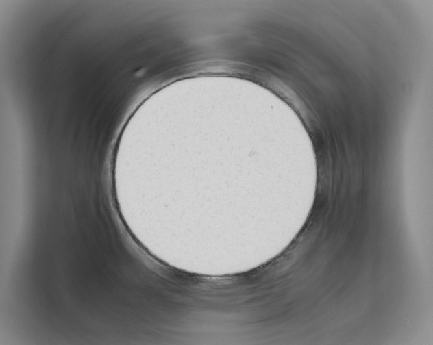 X0000111651483200908281039
