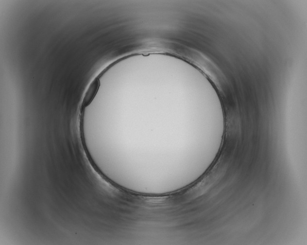 X0000111651484200908281039