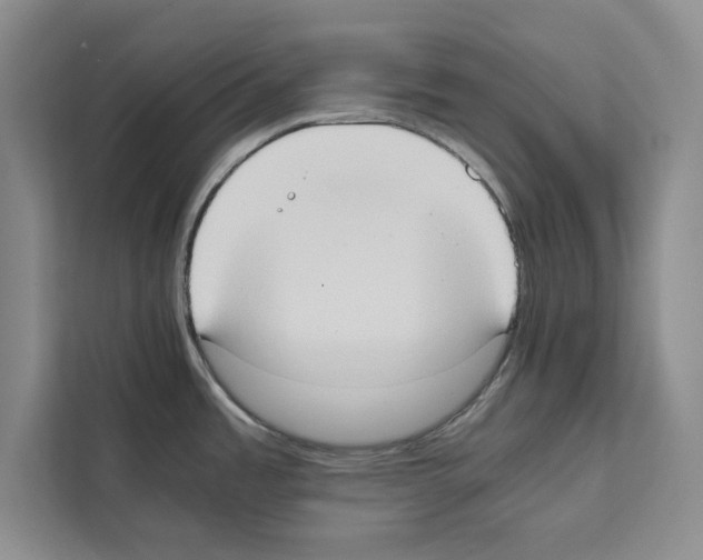 X0000111651485200908281039