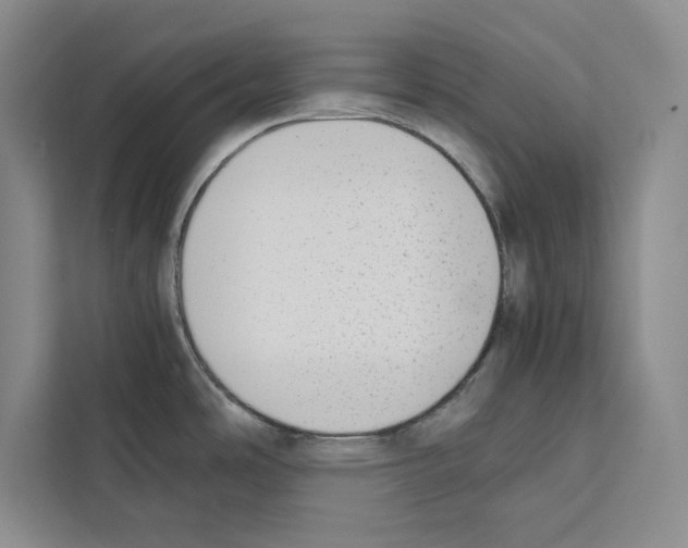 X0000111651486200908281039