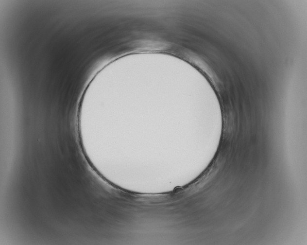 X0000111651487200908281039