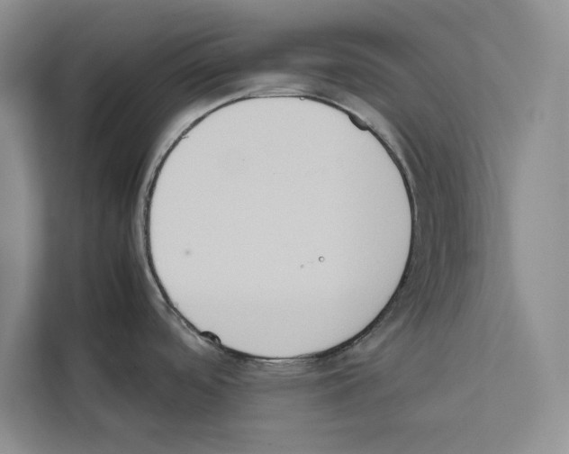 X0000111651488200908281039
