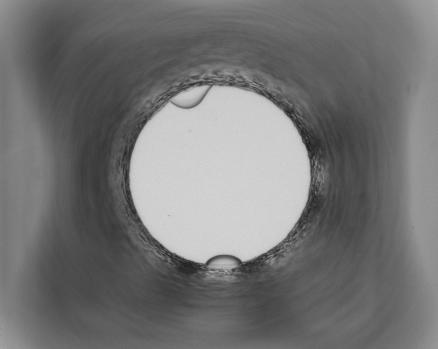 X0000111651489200908281038