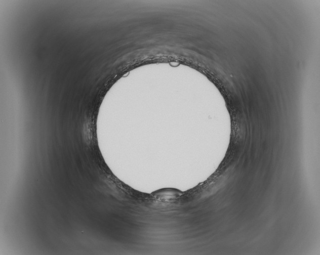 X0000111651490200908281038