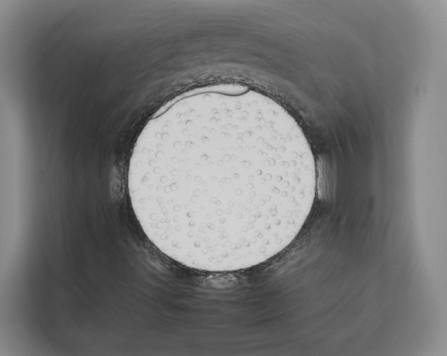 X0000111651491200908281038