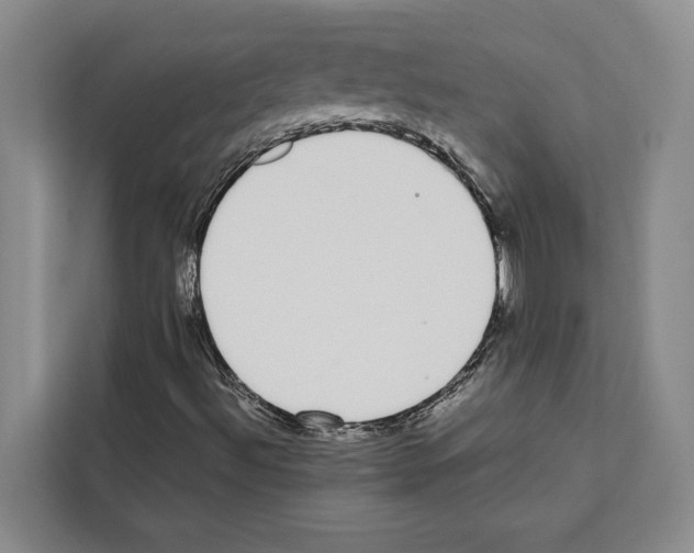 X0000111651492200908281038