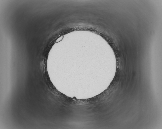 X0000111651493200908281038