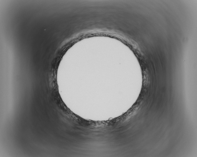 X0000111651494200908281038
