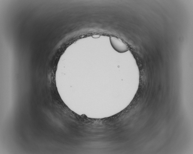 X0000111651495200908281038