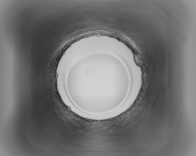 X0000111651496200908281038