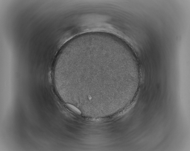 X0000111651497200908281039