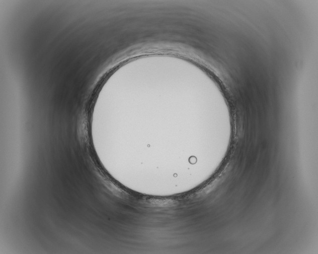 X0000111651498200908281039