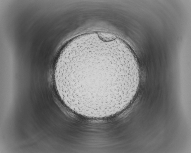 X0000111651499200908281039