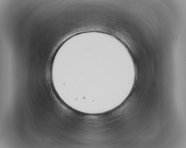 X0000111651500200908281039